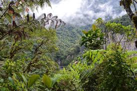 With options to book now and pay when you stay, you have peace of mind. A Visit To Banos De Agua Santa Ecuador Global Volunteers