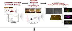 Hashset hits, installed programs, devices attached, cookies, downloads, . Real Time Fouling Monitoring And Membrane Autopsy Analysis In Forward Osmosis For Wastewater Reuse Sciencedirect