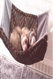 Https Encrypted Tbn0 Gstatic Com Images Q Tbn And9gctkzekylf1sc9lppcswzv8foguskv89e893gq Usqp Cau