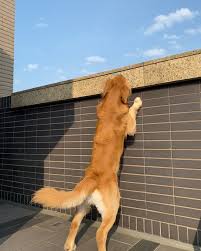 Cooper Chung (@cooper20191104) • Instagram फोटोहरू र भिडियोहरू