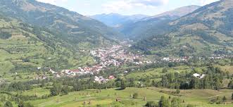 Maybe you would like to learn more about one of these? È™tiri AnieÈ™