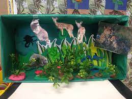 We Made A Forest Biome In Kindergarten Habitats Projects Biomes Project Biomes