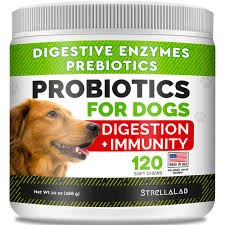 Powder Benebac For Dogs Bene Bac Plus Pet 450g Powder Desertcart Bolivia