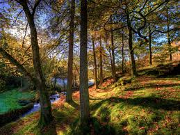 Hd to 4k quality, all for free! Land Could Be Worth More Left To Nature Than When Farmed Study Finds Environment The Guardian