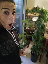 Vacation rental available Aug 9-16