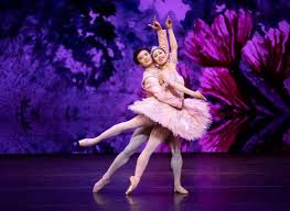 Amber scott as the sugarplum fairy and adam bull as the prince in peter wright's the nutcracker. Nutcracker Michelle Potter