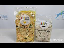 Nomnomnow Fresh Cooked Dog Food Delivery Review 2018 Youtube