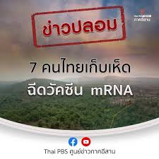 7 คนไทยเก็บเห็ดหลงเข้าเขตลาว ได้ฉีดวัคซีน mrna ก่อนส่งกลับไทย. Avpypfyclpmydm