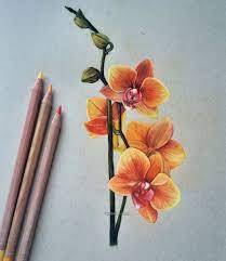 Pin On Drawing