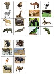 Imagiers Imagier Animaux Animaux Afrique Animaux Du Zoo Animaux dafrique activités animales animaux de la savane animaux africains animaux du monde zoo maternelle activité manuelle afrique activité manuelle animaux jungles. pinterest