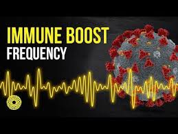 Immune Boost Meditation Rife Frequency Please Share Youtube In 2020 Immune Boosting Pemf Healing Frequencies