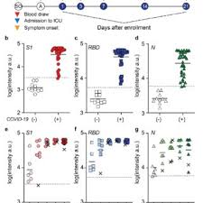 Sebenernya pertama masuk sekolah di smp ananda gua pengen banget jadi anggota osis. Pdf Multiplexed Quantitative Serological Profiling Of Covid 19 From A Drop Of Blood By A Point Of Care Test