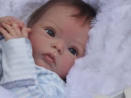 Alexandra S Babies Reborn Baby Boy Doll Livia Gudrun Legler Sold Out Ed Ebay Reborn Baby Boy Dolls Reborn Babies Reborn Baby Boy