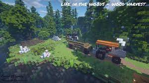 When i added the mods to my mod folder every mod crashed. Life In The Woods Minecraft Map