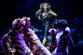 Music by andrew lloyd webber lyrics byt. Cats At The Fabulous Fox Theatre April 7 19 Midwest Rewind