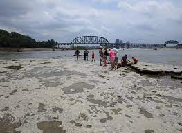 Recorded 31 may 2015 at falls of the ohio state park in clarksville, indiana. Falls Of The Ohio State Park Visit Indiana