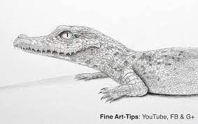We did not find results for: How To Draw Animals 50 Free Tutorial Videos To Help You Learn Step By Step