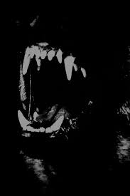 Pin By On Pared In 2020 Dark Aesthetic Black Aesthetic Dark Art