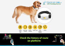 Edit by jemeelainshot video editing app hi guys if you guys wanna know dog prices in sri lanka pls checkout this videoif you guys like dogs then pls like. Pet Tracking Gps Tracking Sri Lanka Vehicle Tracking System