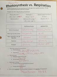 How many atp's does each process produce, and what is the total. Photosynthesis And Cellular Respiration Review Worksheet Answers Promotiontablecovers
