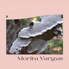 For example, a dried poblano chile is called an ancho. 8 Morita Vargas