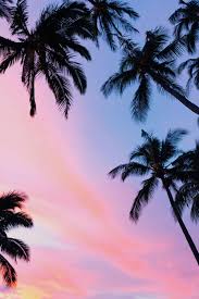 We did not find results for: Sunset Palm Tree Wallpaper Kolpaper Awesome Free Hd Wallpapers