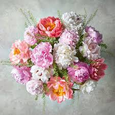 Waitrose florist promo codes for flowers and spring bouquets. Waitrose Partners On Twitter British Peonies Are Now In Season Featuring Four Beautiful Shades Of Pink And White Our Bouquet Would Make The Perfect Centrepiece In Any Home Shop Online At