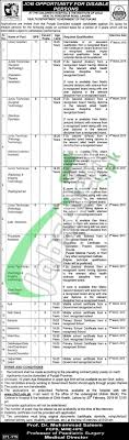 Children S Hospital Lahore Jobs Kids Health Job Health Careers