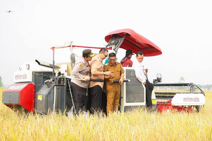 Produktivitas Padi Didorong Melalui Perluasan Akses Benih Bersubsidi bagi Petani