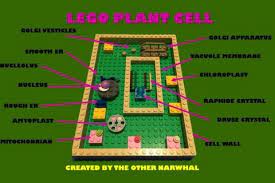 We did not find results for: How To Make A 3d Model Cell Diy Plant Cell Project Cell Model Project Cells Project