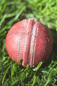 Also remember the kids can enjoy our games too! Backyard Cricket In Australia Close Up Of Old Cricket Ball By Natalie Jeffcott Cricket Sport Stocksy United