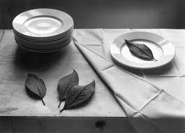 Black And White Still Life Photography Images For Famous Black And White Still Life Photography Christian Coigny Still Life Photography Still Life