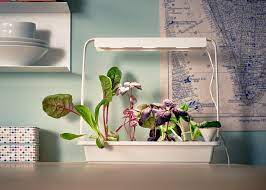 We did not find results for: Ikea Moves Into Indoor Gardening With Hydroponic Kit