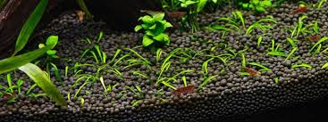 The substrate does not destabilize the water's ph level and supports the growth of plants well. Aquascape Ideas Aquascape Substrate Layers