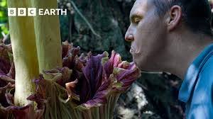 Asia Flowers's Instagram, Twitter & Facebook