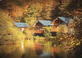 Talking about lake district log cabins isn't as simple as saying they are built from wood and come surrounded by nature. 20 Best Log Cabins For Babies Toddlers