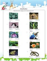 Science worksheets design and technology kitchen design science worksheet. Grade 2 Science Worksheets Pdf