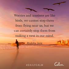 Birds Flying In The Sky Quotes Daily Calm Quotes Worries And Tensions Are Like Birds We Cannot Stop Them From Flying Near Us But We Can Certainly Calm Quotes Daily Calm Calm Meditation