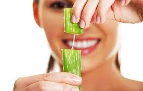 Aloe Veranin Cilde Faydalari Nelerdir Aloe Cil Dogal Cilt Bakimi