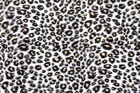 Tempo fabrics botswana velvet charcoal. Texture Of Leopard Fabric Stock Photo Picture And Royalty Free Image Image 89753402