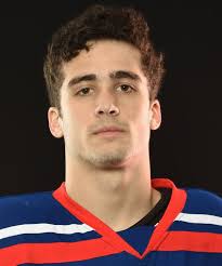 Herald All-Scholastics: Boys hockey