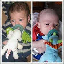 Cotton Bliss Gift A Wubbanub Is A Binky With A Stuffed Animal Attached They Come In An Assortment Of Animals The Legs Are We Cotton Gifts Bliss Gifts Binky