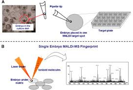 Smoke detector installation program the burlington ordinance perspective. Single Embryo And Oocyte Lipid Fingerprinting By Mass Spectrometry S Journal Of Lipid Research