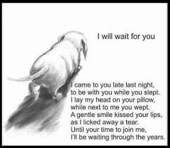 I Will Wait For You Sweet Poem Dog Poems Dog Quotes Pet Remembrance