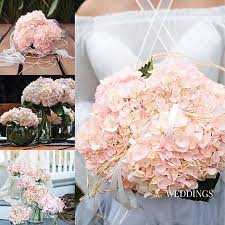 Check spelling or type a new query. Hydrangea Bridal Pink 15 Stems Sam S Club Pink Hydrangea Centerpieces Pink Hydrangea Wedding Pink Hydrangea Bouquet