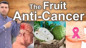 Native to south america, but widely grown throughout asia. Soursop The Best Anti Cancer Fruit Top Health Benefits Of Soursop Guanabana Or Graviola Youtube