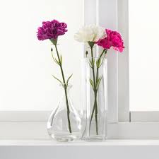 Maybe you would like to learn more about one of these? Smycka Artificial Flower Carnation White 30 Cm Ikea