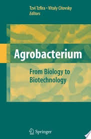 Agrobacterium From Biology To Biotechnology Pdf Free In 2020 Biotechnology Biology False Book