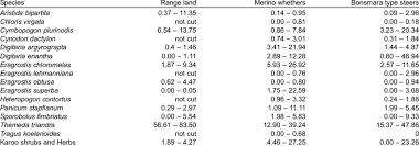 Image result for Tragus koelerioides