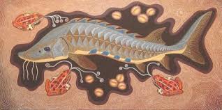 Sturgeon Drawing Google Suche Fish Drawings Native Art Art